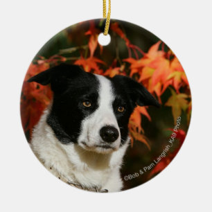Border-Collie-HerbstHeadshot Keramik Ornament
