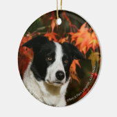 Border-Collie-HerbstHeadshot Keramik Ornament (Links)