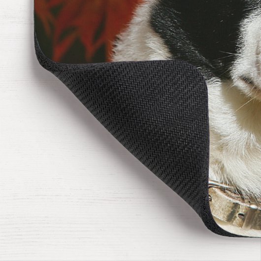 Border-Collie-HerbstHeadshot Mousepad (Ecke)