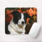 Border-Collie-HerbstHeadshot Mousepad (Mit Mouse)