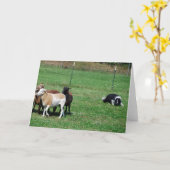 Border Collie Herding Sheep Note Card Karte (Gelbe Blume)