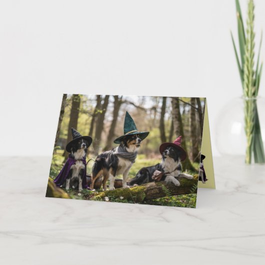 Border Collie Hexe Halloween Karte (Vorderseite)