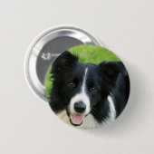 Border-Collie-Hund addieren Text-Haustier Button (Vorne & Hinten)