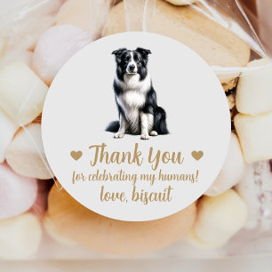 Border Collie Hund Hochzeit Geschenkaufkleber Runder Aufkleber