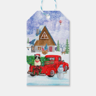 Border Collie Hund im Weihnachtslieferwagen Schnee Geschenkanhänger