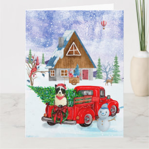 Border Collie Hund im Weihnachtslieferwagen Schnee Karte