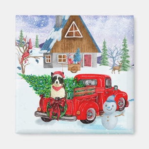Border Collie Hund im Weihnachtslieferwagen Schnee Magnet