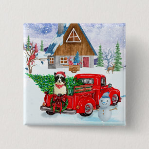 Border Collie Hund in Christmas Delivery LKW Schne Button