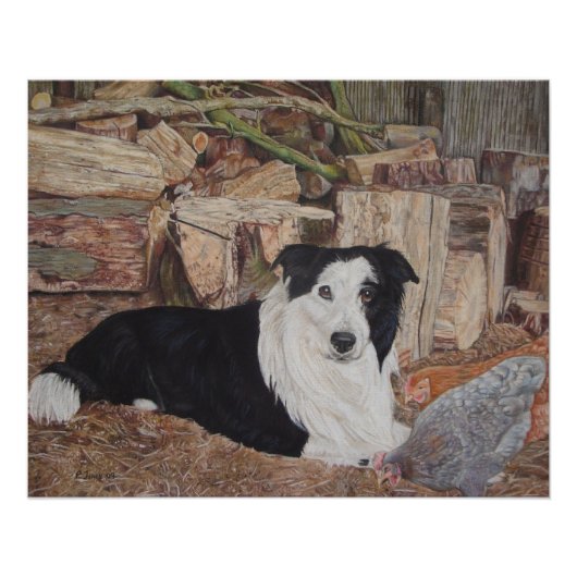 Border Collie Hund in Holzschuppen mit Hühnerkunst Poster (Vorderseite)