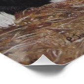 Border Collie Hund in Holzschuppen mit Hühnerkunst Poster (Ecke)