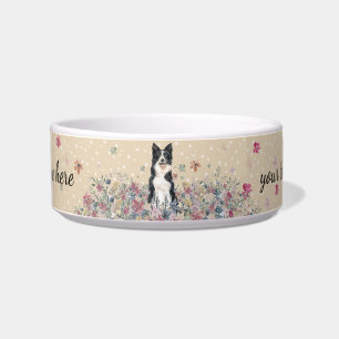 Border Collie Hund mit Pfoten Napf