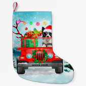 Border Collie Hund mit Weihnachtsgeschenken Kleiner Weihnachtsstrumpf (Vorderseite)