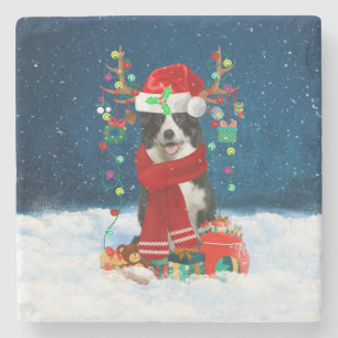Border Collie Hund mit Weihnachtsgeschenken Steinuntersetzer