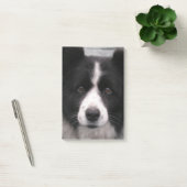 Border-Collie-Hund Post-it Klebezettel (Büro)