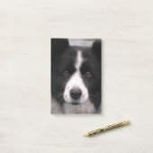 Border-Collie-Hund Post-it Klebezettel (Auf Schreibtisch)