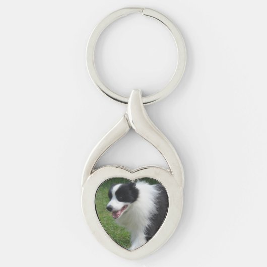 Border-Collie-Hund Schlüsselanhänger (Vorderseite)