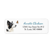 Border Collie Hund Schmetterling Wunder (Vorne)
