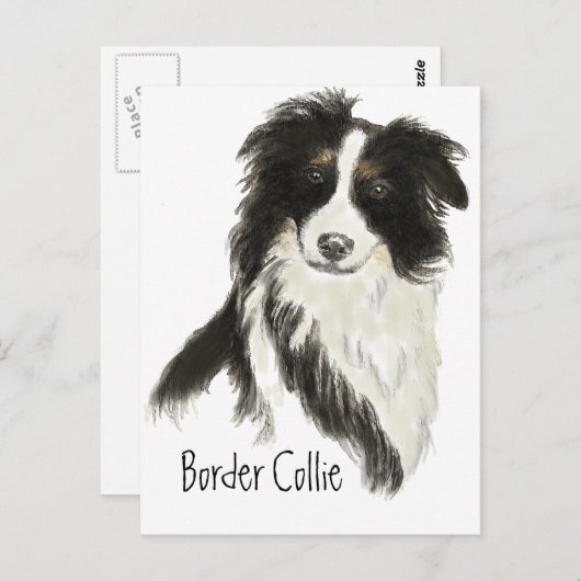Border Collie Hund Tier Postkarte (Vorne/Hinten)