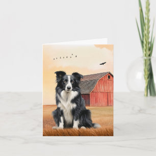 Border Collie Hund und Red Barn Ranch