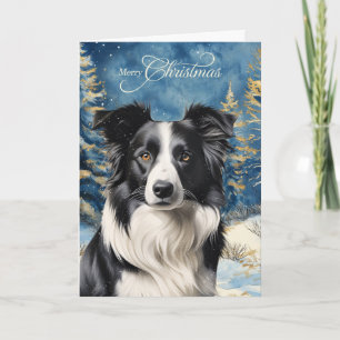 Border Collie Hund Wald Forst Weihnachten