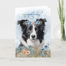 Border Collie Hund Wildblumen Muttertag