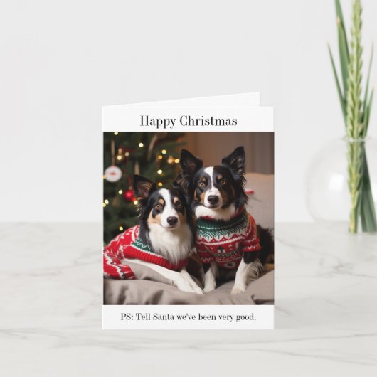Border Collie Hunde in Christmas Sweaters Karte (Vorderseite)
