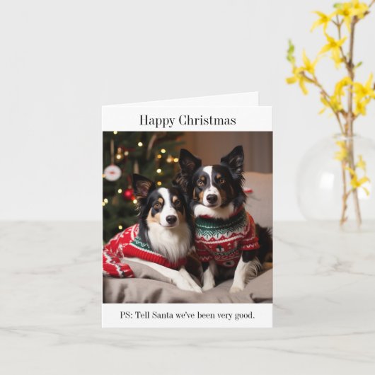 Border Collie Hunde in Christmas Sweaters Karte (Gelbe Blume)