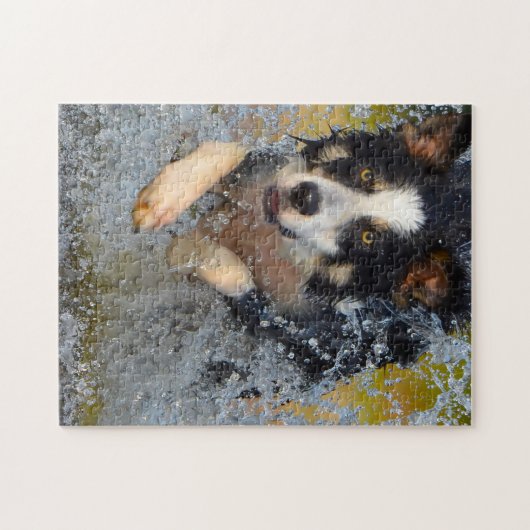 Border Collie Hunde. Puzzle (Horizontal)