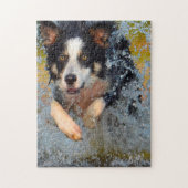 Border Collie Hunde. Puzzle (Vertikal)