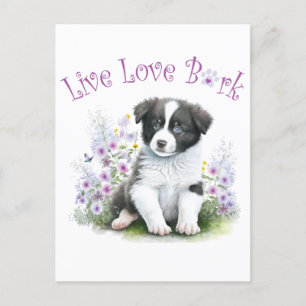 Border Collie Hundefrau Blumen Postkarte