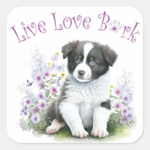 Border Collie Hundefrau Blumen Quadratischer Aufkleber