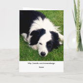 Border Collie - Hundekarte Karte (Rückseite)