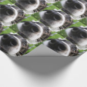 Border-Collie-Hundenase Geschenkpapier (Ecke)
