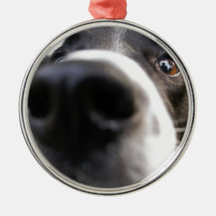 Border-Collie-Hundenasen-Weihnachtsverzierung Ornament Aus Metall