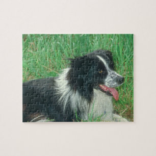 Border-Collie-Hundepuzzlespiel Puzzle