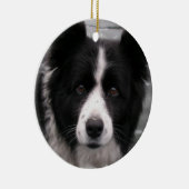 Border-Collie-Hundeverzierung Keramik Ornament (Rechts)
