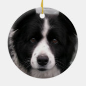 Border-Collie-Hundeverzierung Keramik Ornament (Hinten)