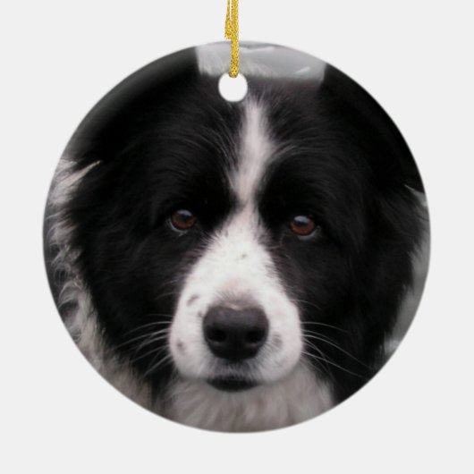 Border-Collie-Hundeverzierung Keramik Ornament (Hinten)