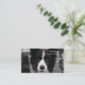 Border-Collie-HundeVisitenkarte Visitenkarte (Stehend Vorderseite)