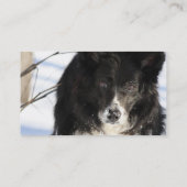 Border-Collie-HundeVisitenkarten Visitenkarte (Rückseite)