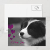 Border Collie, ich liebe dich Postkarte (Vorne/Hinten)