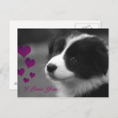 Border Collie, ich Liebe dir Postkarte (Vorne/Hinten)