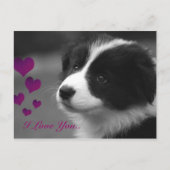 Border Collie, ich Liebe dir Postkarte (Vorderseite)