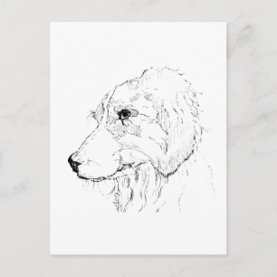 Border Collie Illustration – Minimalistische Kunst Postkarte