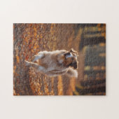 Border Collie im Wald Puzzle (Horizontal)
