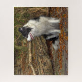 Border Collie im Wald Puzzle (Vertikal)