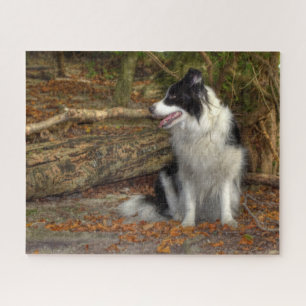 Border Collie im Wald Puzzle