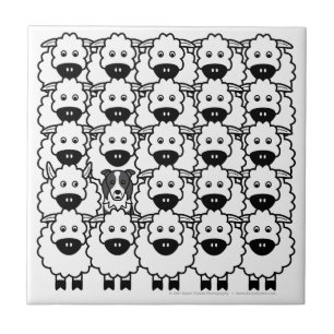 Border-Collie in den Schafen Fliese