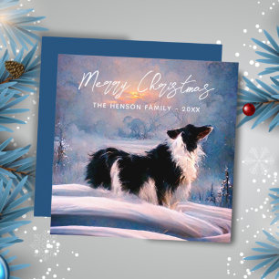 Border Collie in der Winterlandschaft Weihnachten