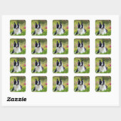 Border Collie in field of Blume Square Aufkleber (Blatt)
